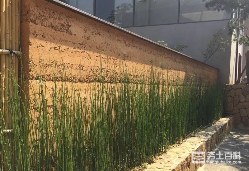 1585192484954652.jpg b.jpg